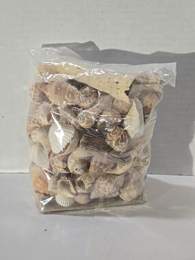 Mixed Natural Seashell Decor Bag - Beige & Cream Tones 2lbs